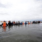 Volunteers form a human chain to stop a pod of pilot whales from stranding themselves again after being refloated after one of the country’s largest recorded mass whale strandings, in Golden Bay, at the top of New Zealand’s South Island
