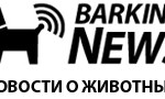 bark-logo-news-1