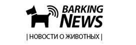 Barking news - новости о животных